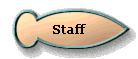 Staff