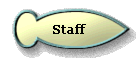 Staff